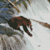 Black Bear Waterfall Fishing Diamond Painting