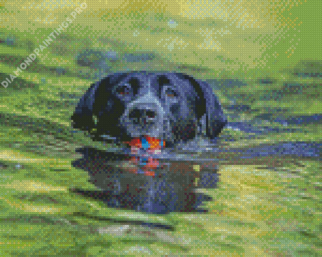 Black Dog Swimming Diamond Painting