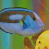 Blue And Yellow Fish Diamond Paintings