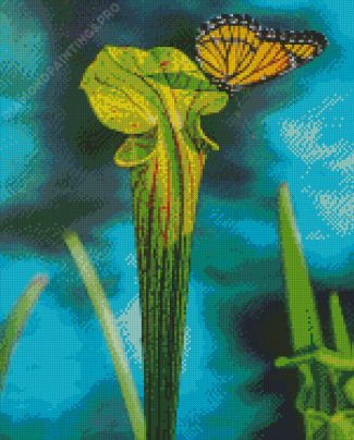 Butterfly On Pitcher Plant Diamond Painting
