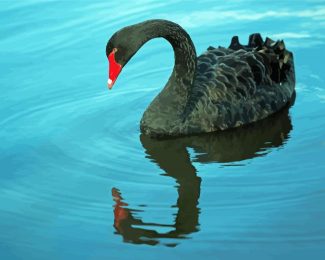 Cool Black Swan Diamond Painting