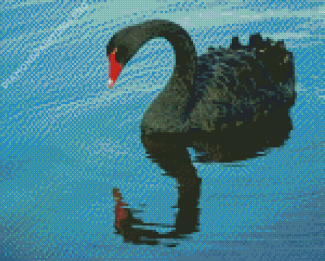 Cool Black Swan Diamond Painting