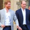 Cool Prince William And Harry Diamond Painting