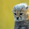 Cute Cheetah Baby Diamond Painting