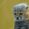 Cute Cheetah Baby Diamond Painting
