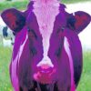 Cute Purple Cow Diamond Painting