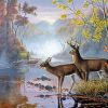 Deer By The River In Forest Diamond Paintings