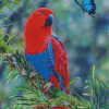 Eclectus Parrot And Butterfly Diamond Paintings