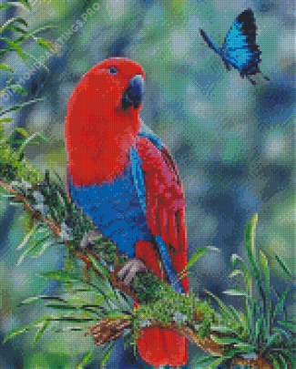 Eclectus Parrot And Butterfly Diamond Paintings