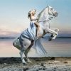 Fantasy Girl Riding A Horse Diamond Paintings