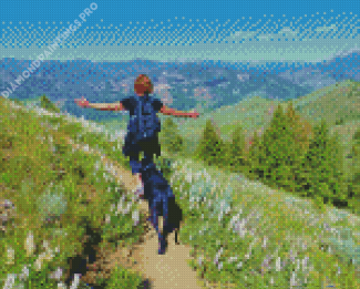 Hiking With Dog Landscape Diamond Paintings