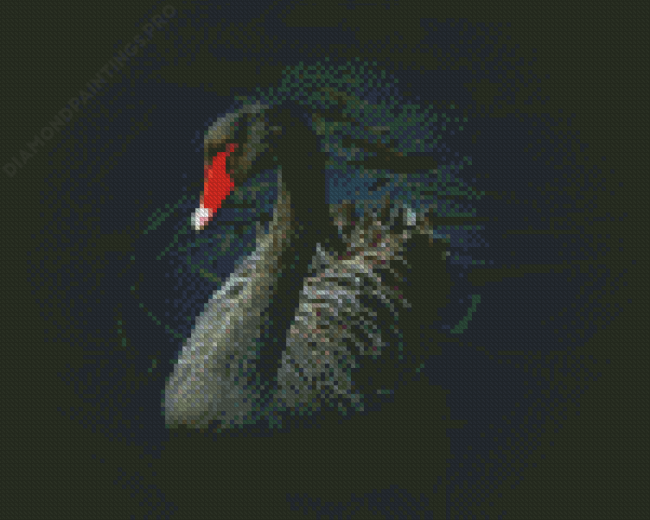 Lonely Black Swan Diamond Paintings