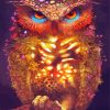 Natural Fierce Owl Diamond Paintings