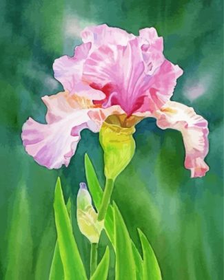 Pink Iris Art Diamond Painting