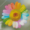 Rainbow Colorful Daisy Flower Diamond Paintings