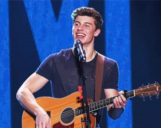Shawn Mendes Playing Guitar Diamond Paintings
