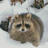 Snow Raccoon Diamond Painting