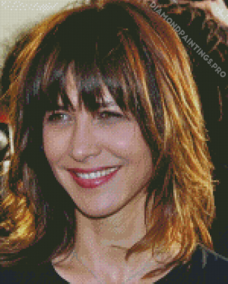 The French Actress Sophie Marceau Diamond Paintings