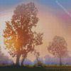 Trees Silhouette In Misty Sunrise Diamond Painting