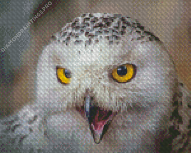 White Fierce Owl Diamond Paintings