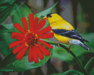 Yellow Finch On Flower Diamond Paintings