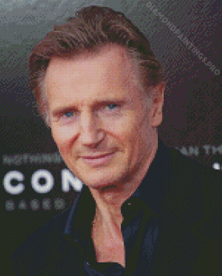 Actor Liam Neeson Diamond Painting