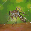 Asian Tiger Mosquito Diamond Painting