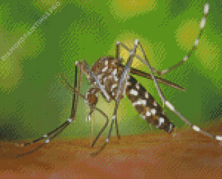Asian Tiger Mosquito Diamond Painting