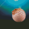 Pufferfish Underwater Diamond Painting