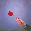 Red Rose And Hand Diamond Painting