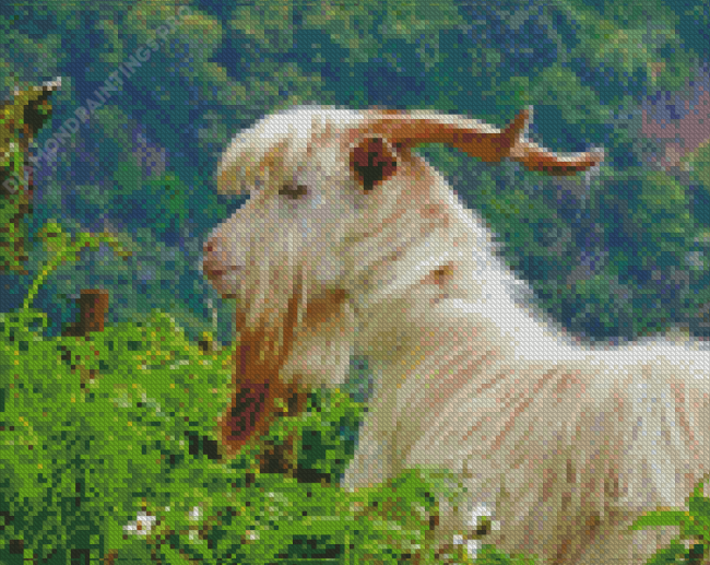 White Goat Animal Diamond Painting