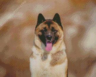 American Akita Dog Animal Diamond Painting
