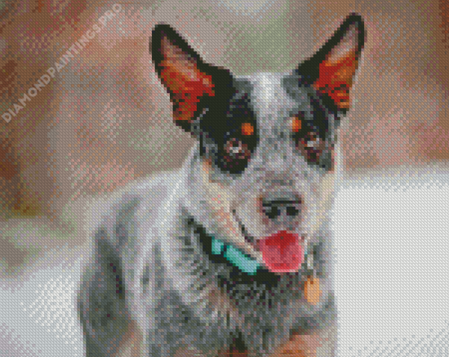 Blue Heeler Dog Breed Diamond Painting