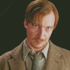 Remus Lupin Movie Character Diamond Painting