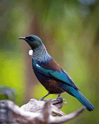 Tui New Zealand Bird Diamond Painting