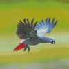 Flying African Parrot Bird Diamond Painting