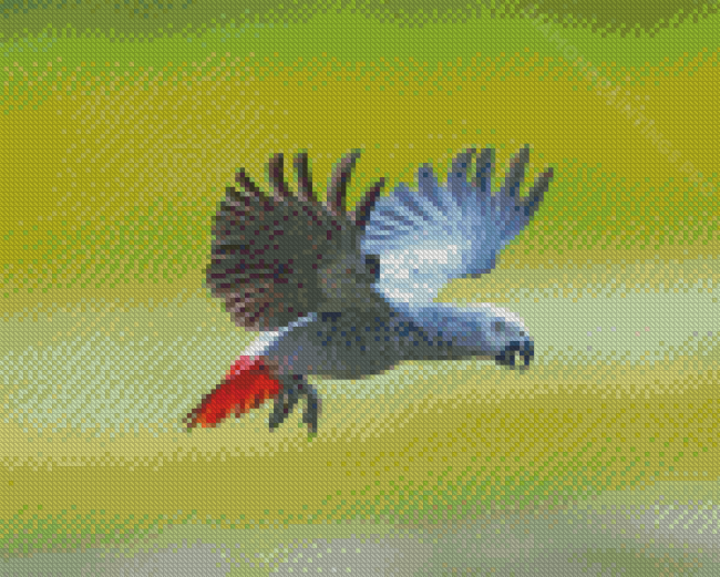 Flying African Parrot Bird Diamond Painting