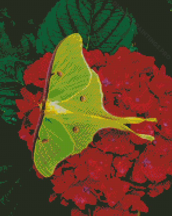 Lunar Moth On Red Flowers Diamond Painting