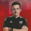 Marco Silva Fulham Football Team Coach Diamond Painting