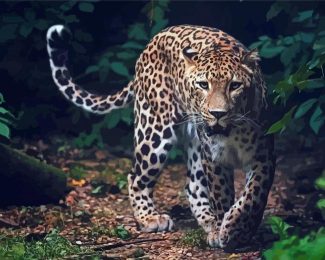 Wild Leopard Diamond Painting