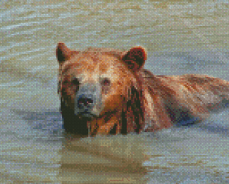 Brown Bear Animal In Water Diamond Painting
