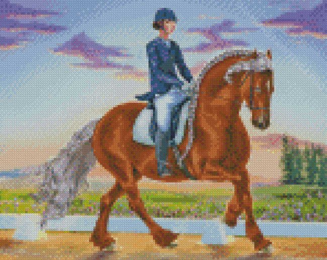 Dressage Horse Sport Diamond Painting