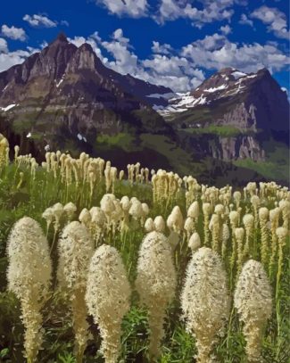 Mountains Beargrass Plants Diamond Painting