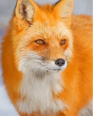 Orange Fox Animal Face Diamond Painting