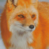Orange Fox Animal Face Diamond Painting
