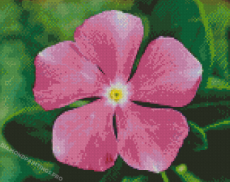 Periwinkle Plant Flower Diamond Painting