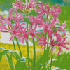 Pink Nerine Lily Flowering Plants Diamond Painting