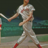 Professional Baseballer Ted Williams Diamond Painting