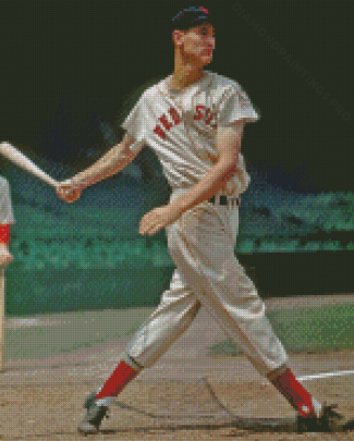Professional Baseballer Ted Williams Diamond Painting