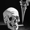 Skeleton Head Smoking Diamond Painting